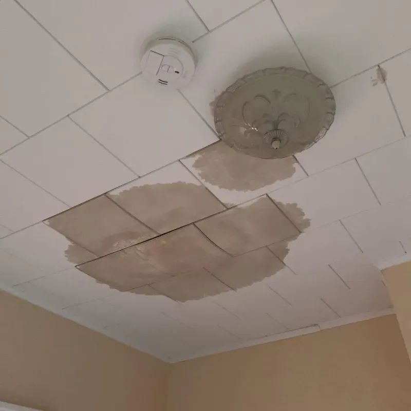 Ceiling Water Damage Repair in Kingston, PA