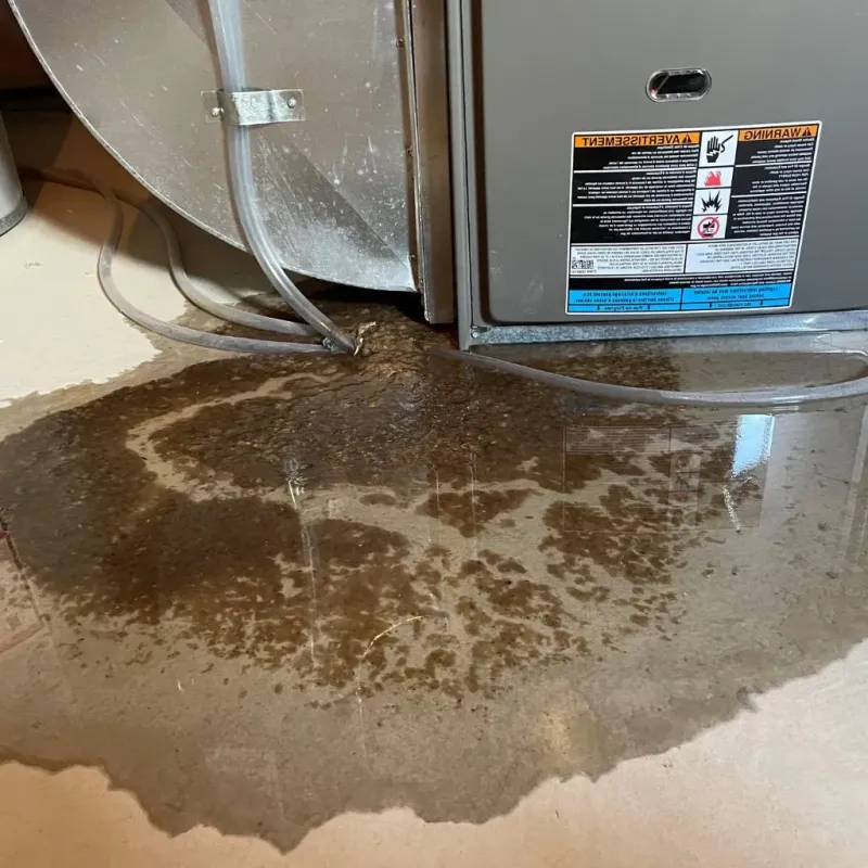 Pipe Burst and Leak Restoration in Kingston, PA