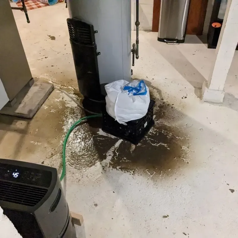 Sewage Backup Cleanup Service in Kingston, PA